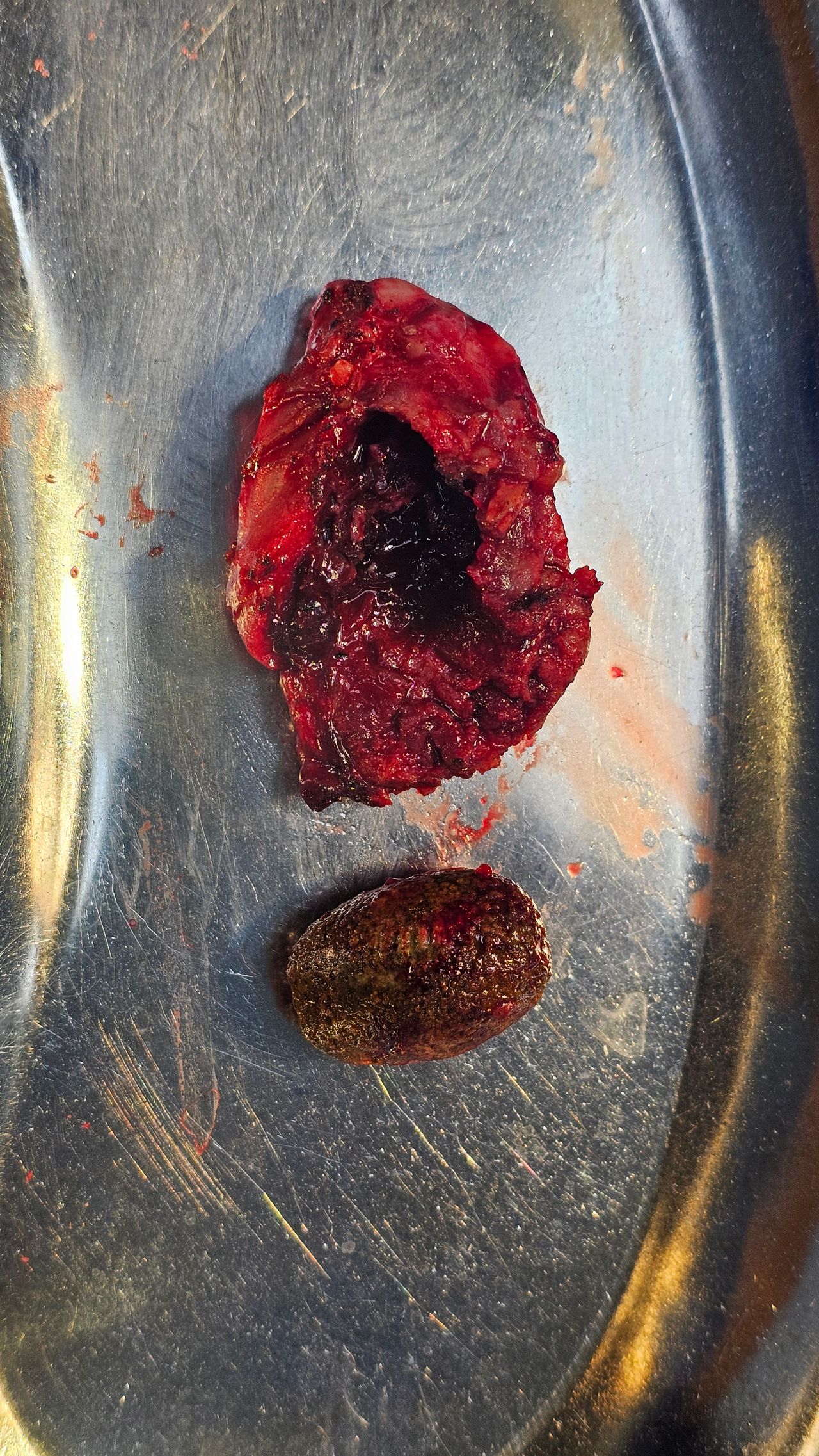 Nelson A. Saavedra Estrada-20