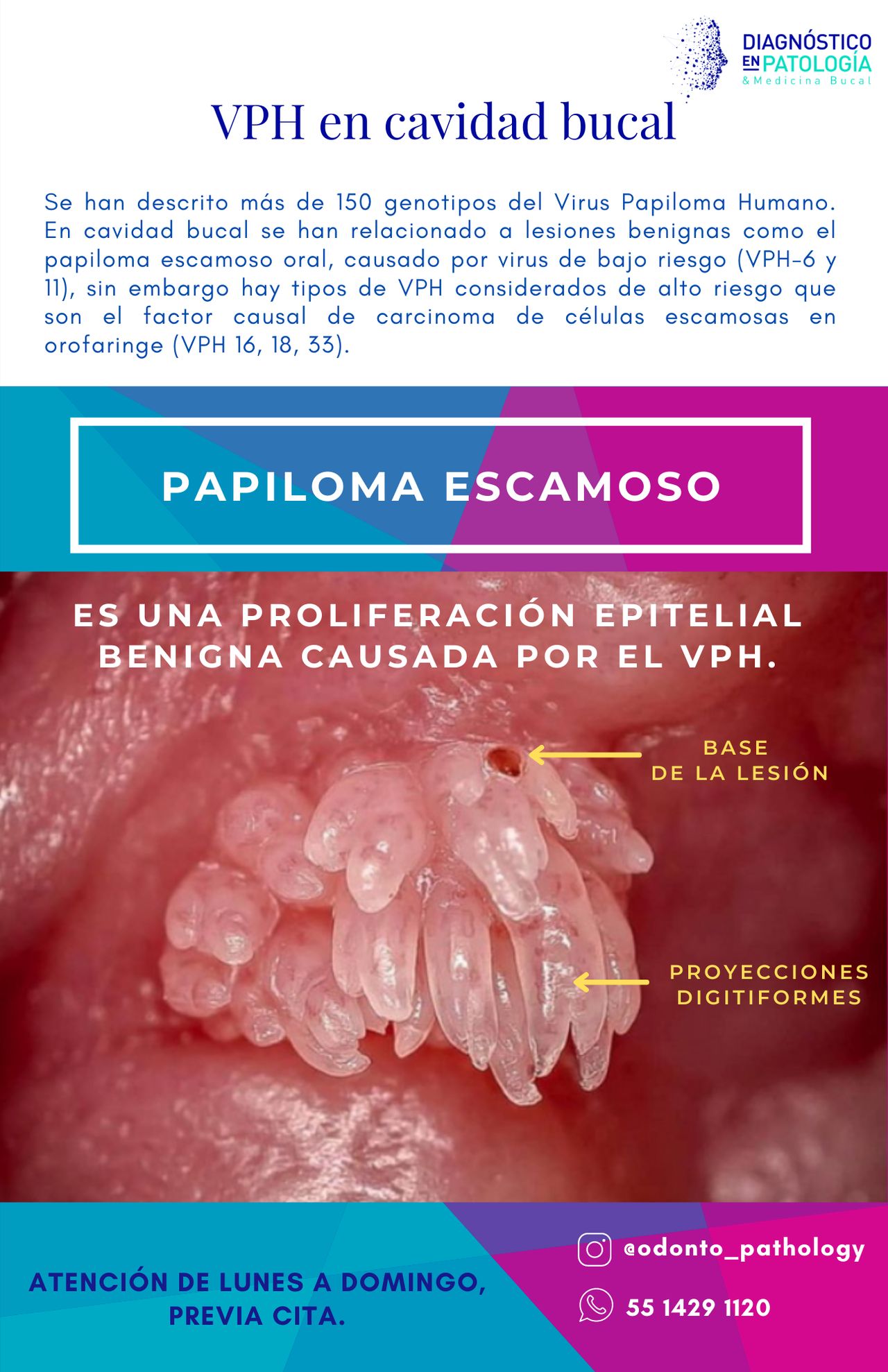 Jaqueline Rodríguez Hernández-22