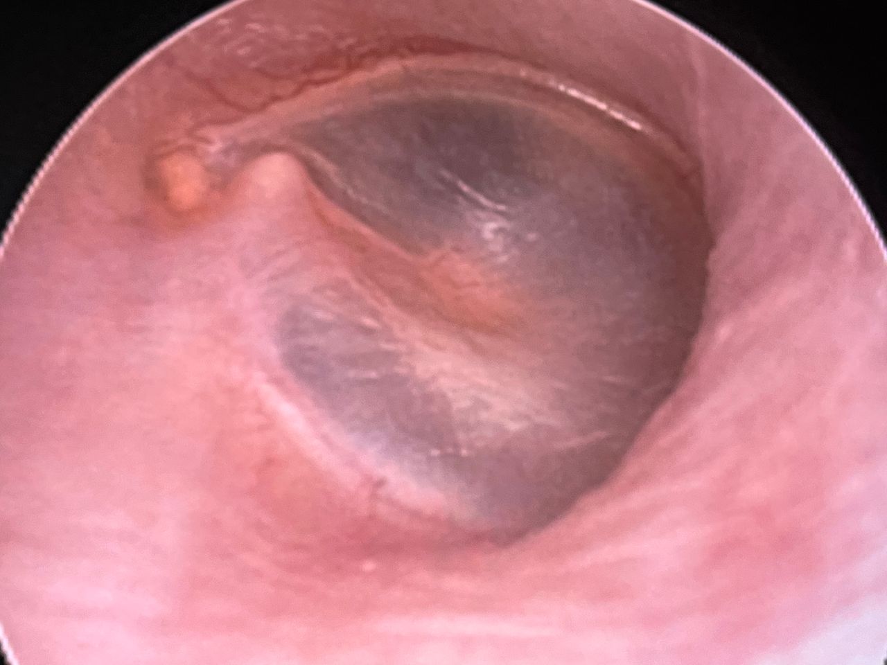 Irma Araceli Carrillo Soto-5