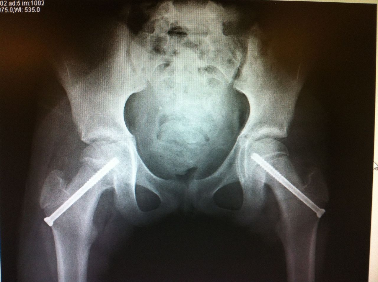 José Gerardo Pastrana Ramírez-8