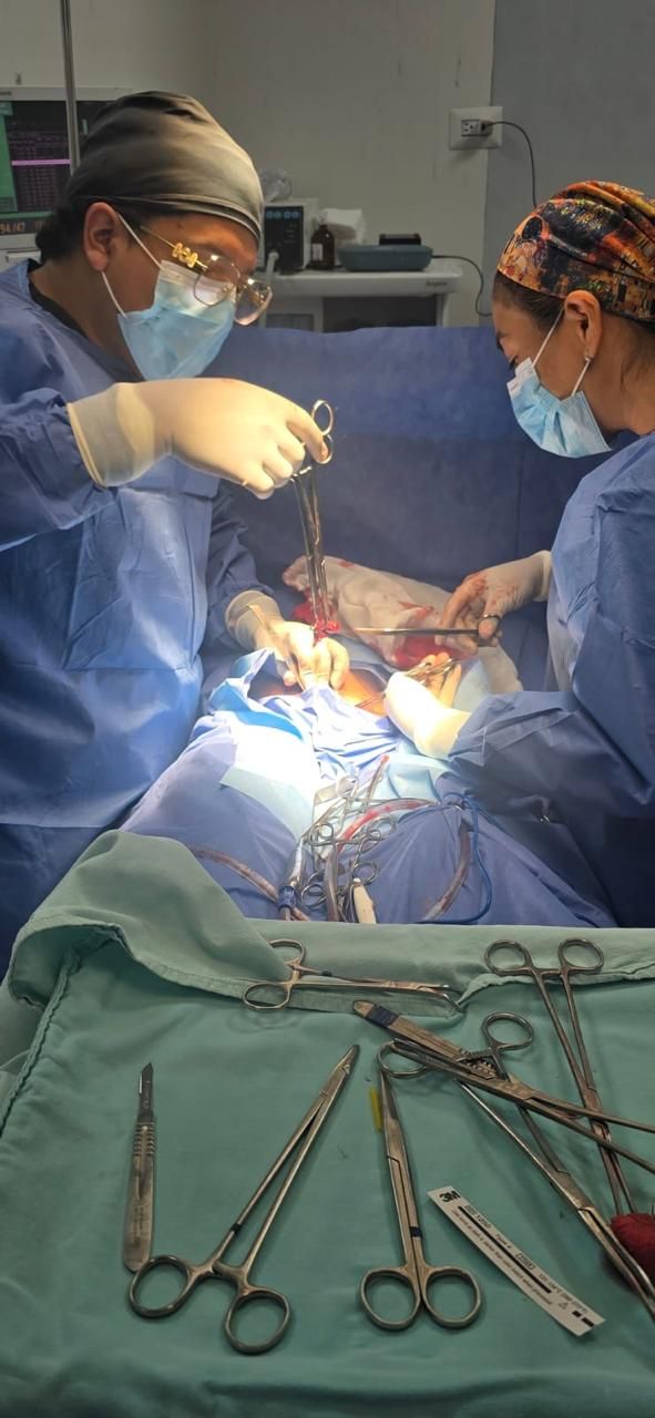 Sandra Faviola Dávila Molina-38