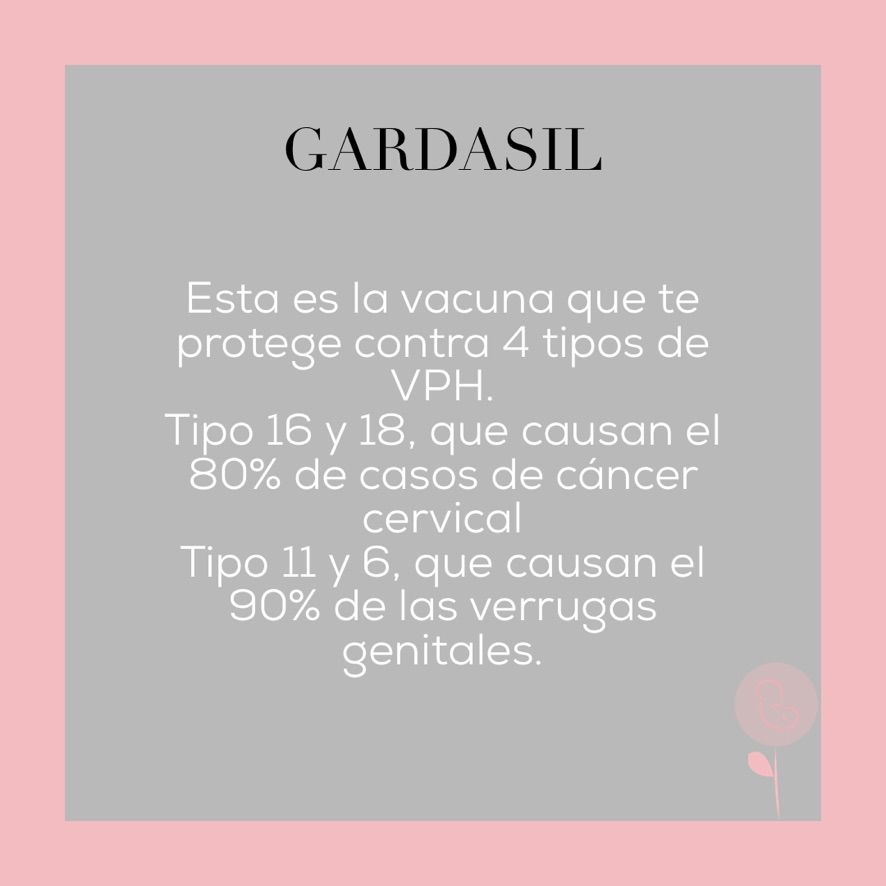 Mónica Monzón Vargas-8