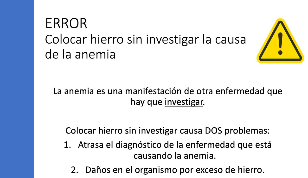 Araceli Leal Alanís-4