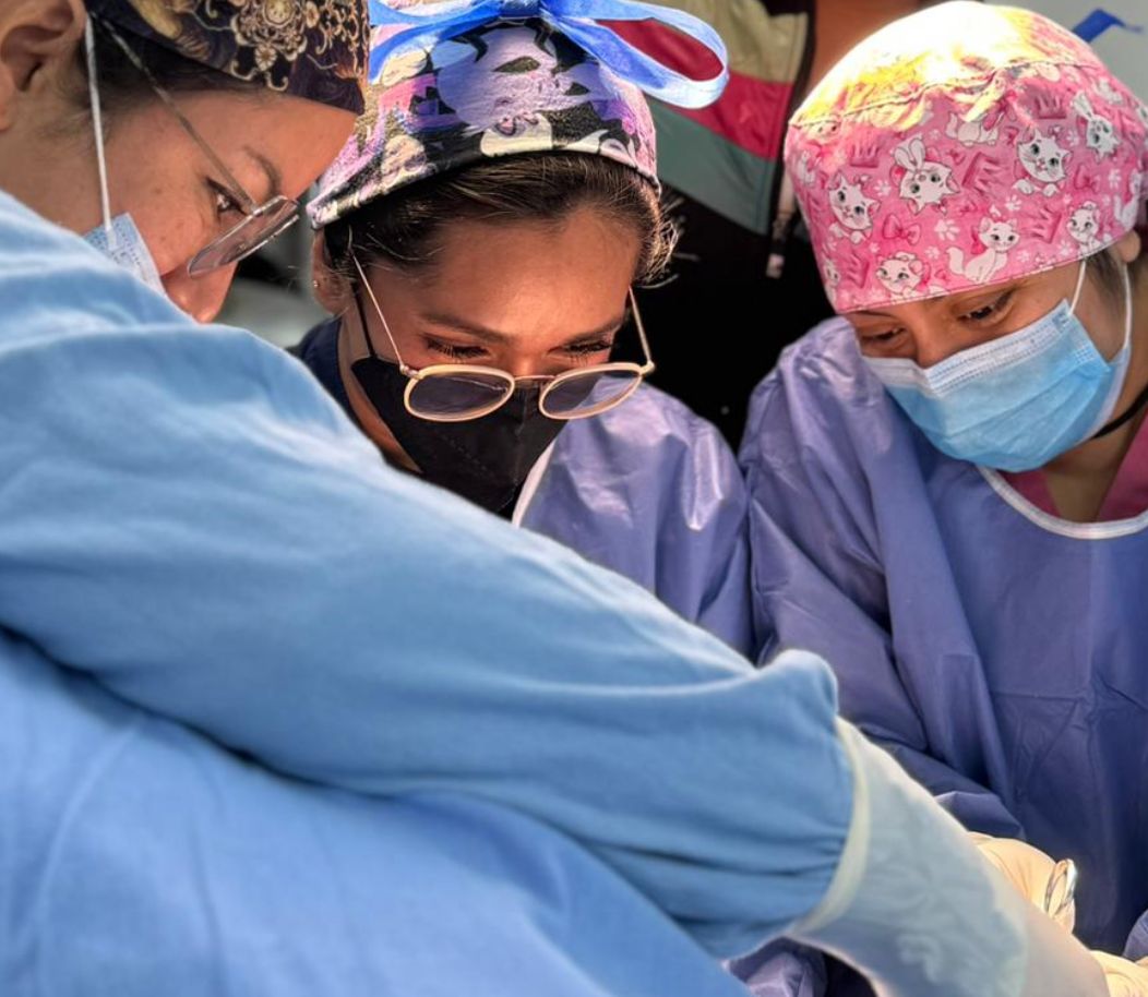 Jazmin  Hernandez Rios -13