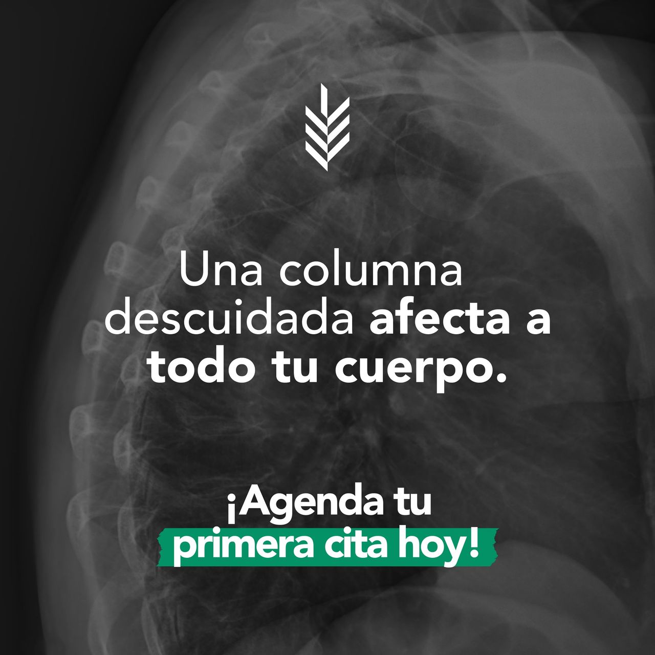 Magdalena Itzel Martínez Hernández-2