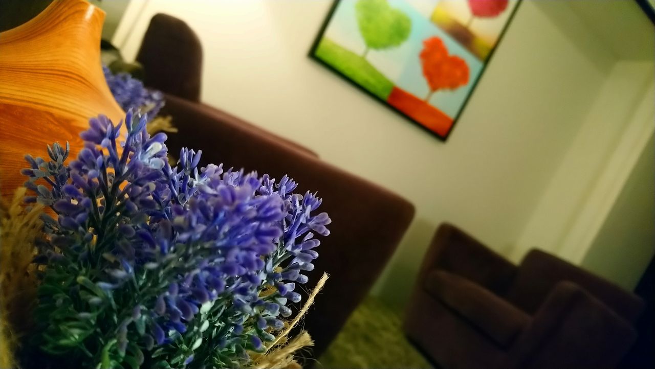 Pamela Pérez Bernal-1