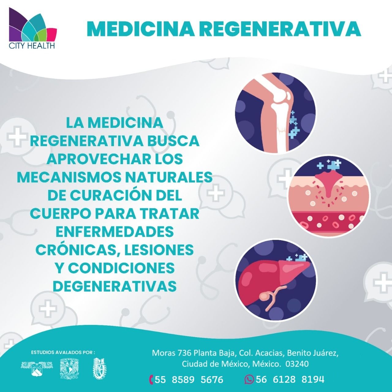 Irma Meneses Ugarte-2