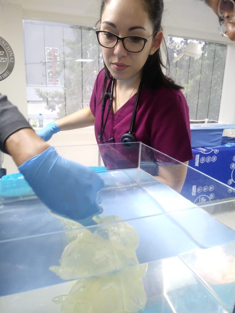 Lizzeth Campuzano Pineda-8