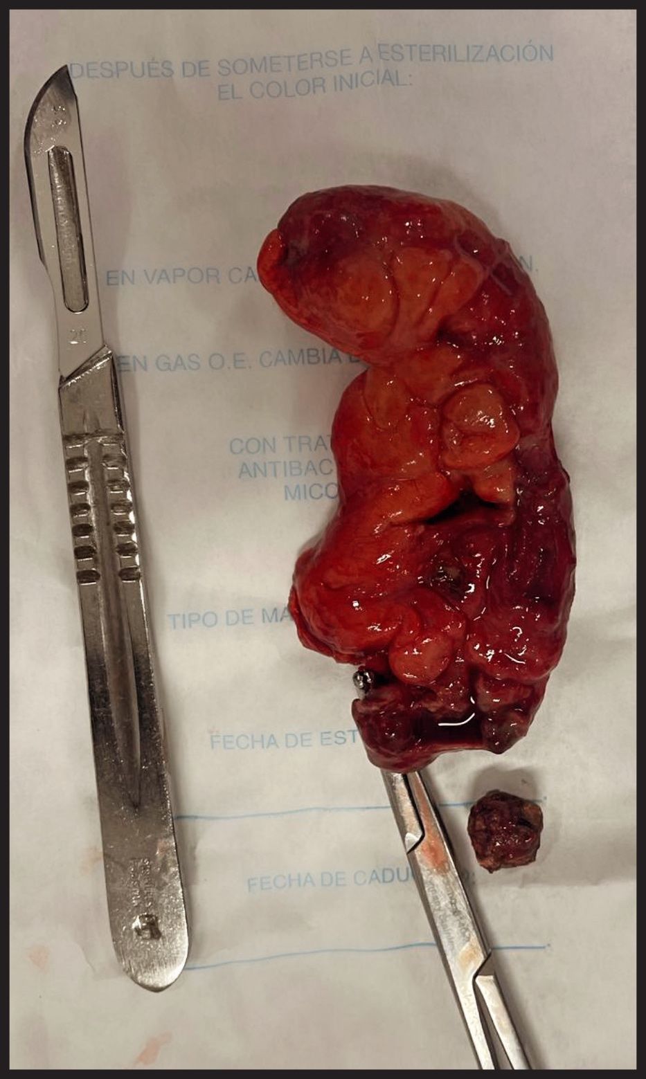 Jose Luis M. Urias Aguirre-6