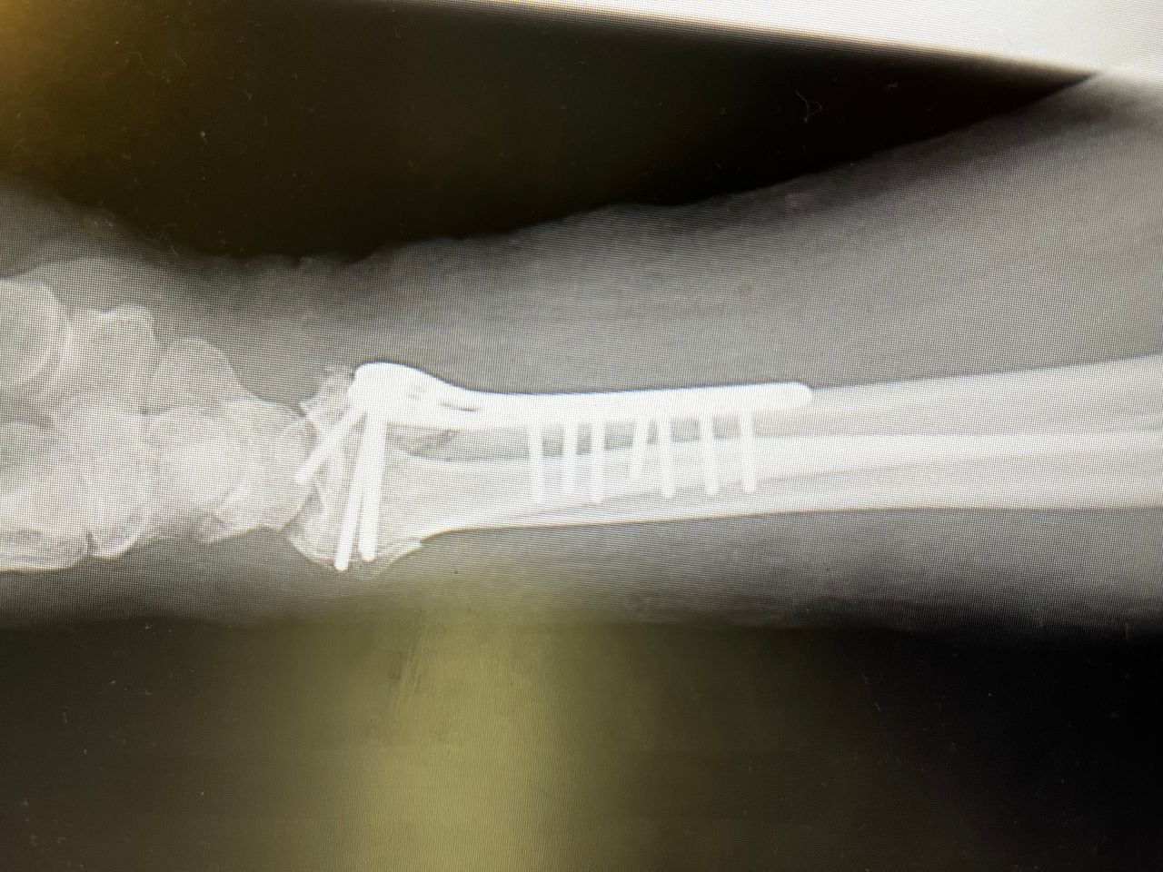 Alberto Lorenzo Cortés-5