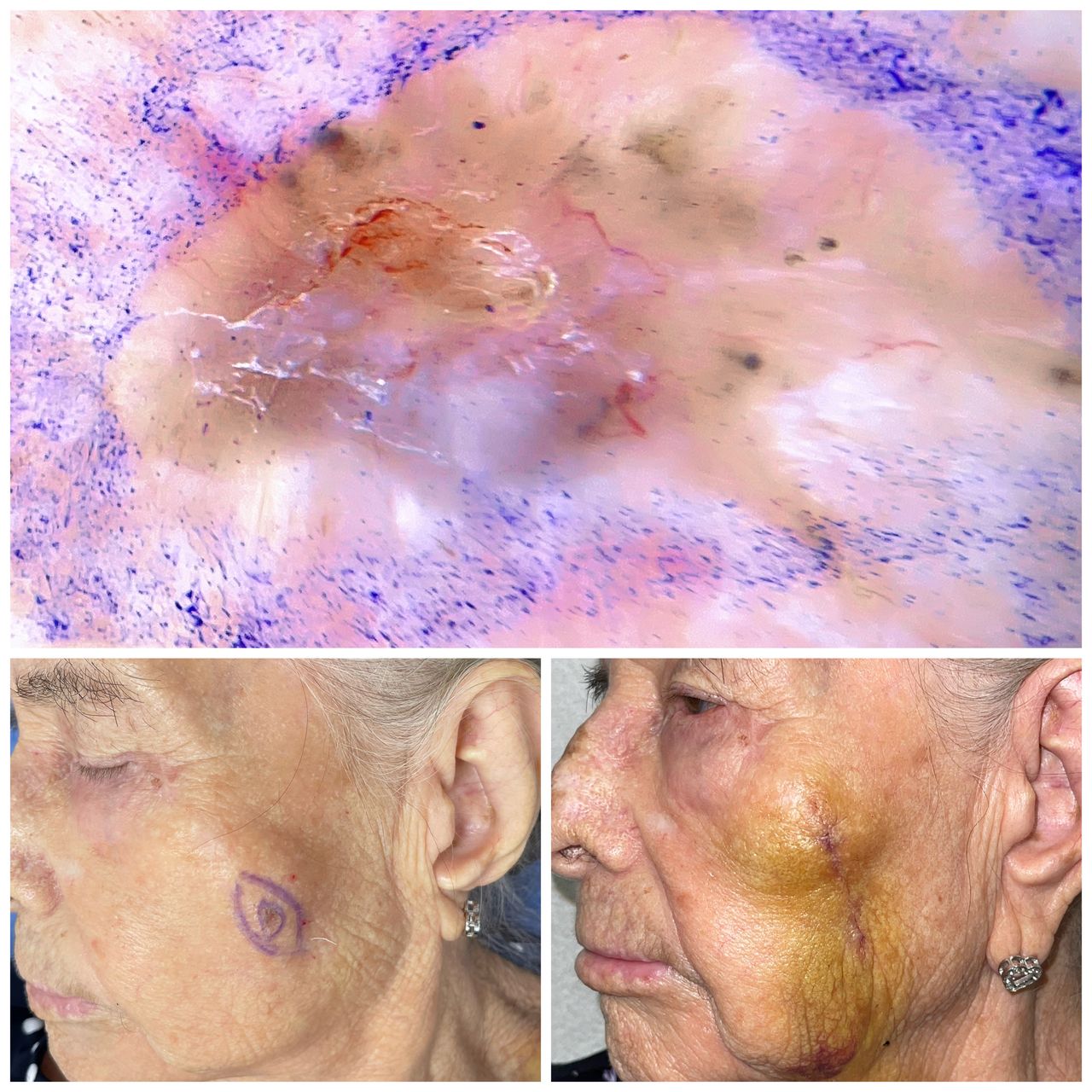 Alejandra Paola Castañeda Contreras-17