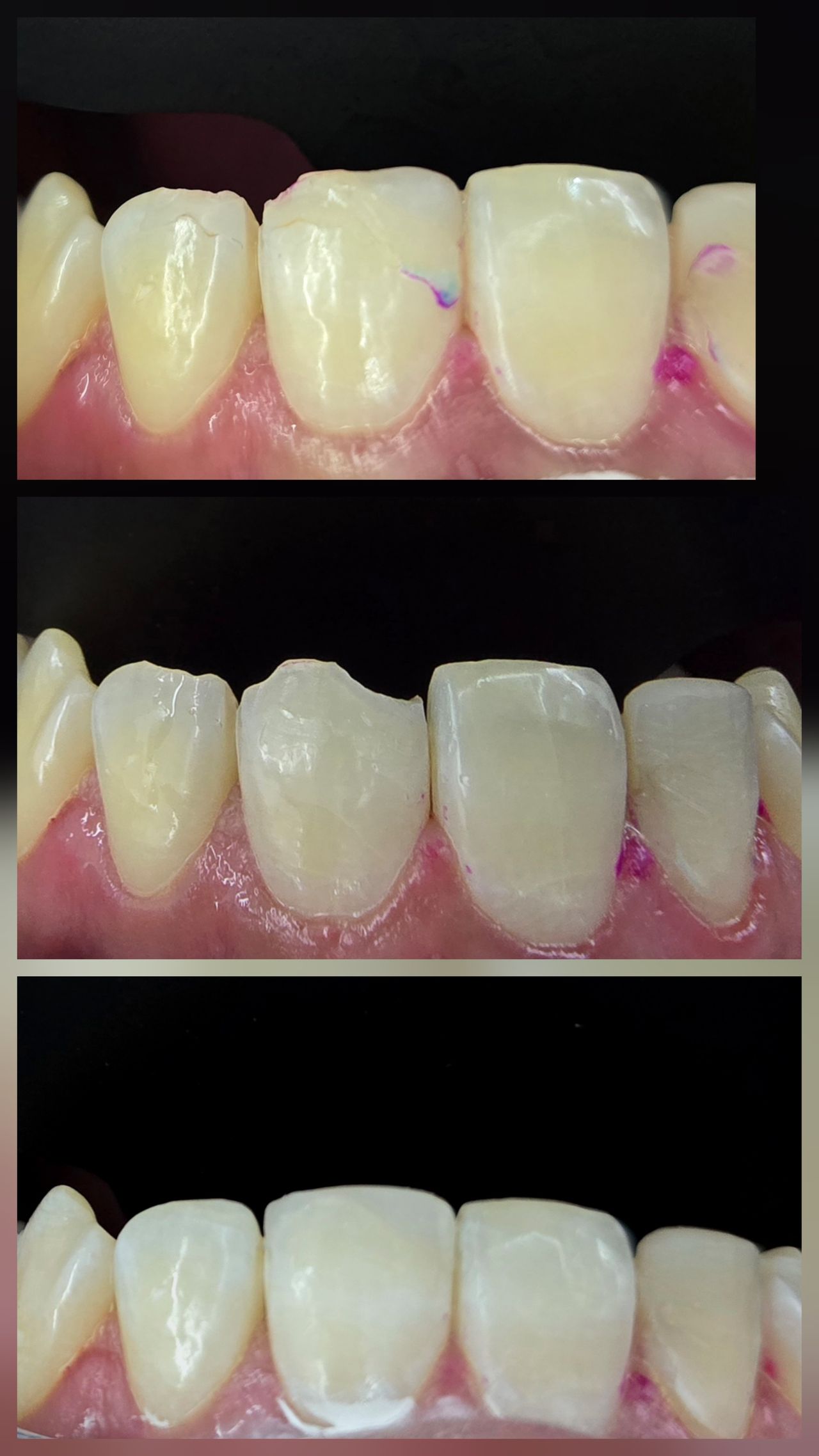 María Fernanda Castillo Cruz-4