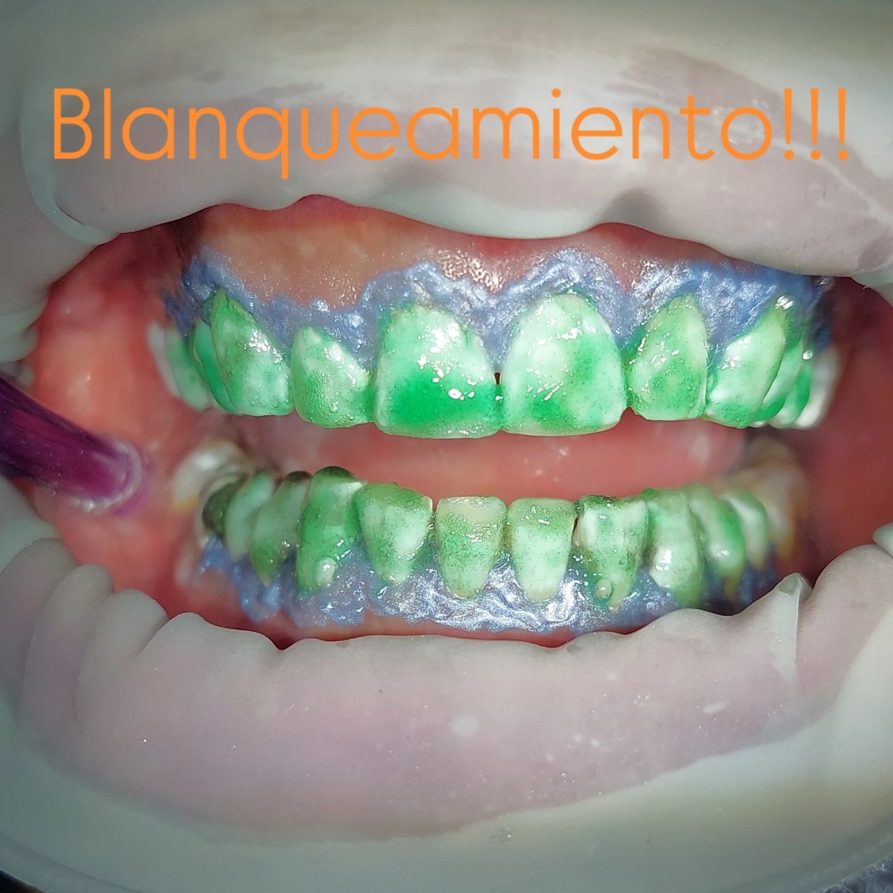 Giovanna Paola Huerta De Santiago-14