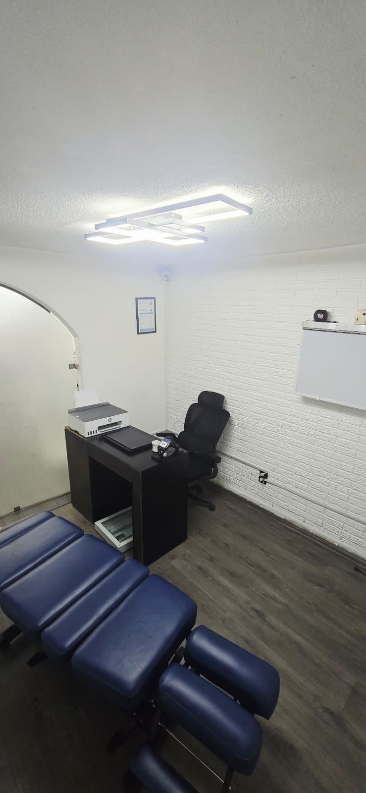 Salvador Yashine Alfaro Lopez-2