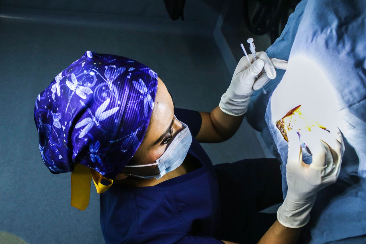 Paola Jacobo Oceguera-19