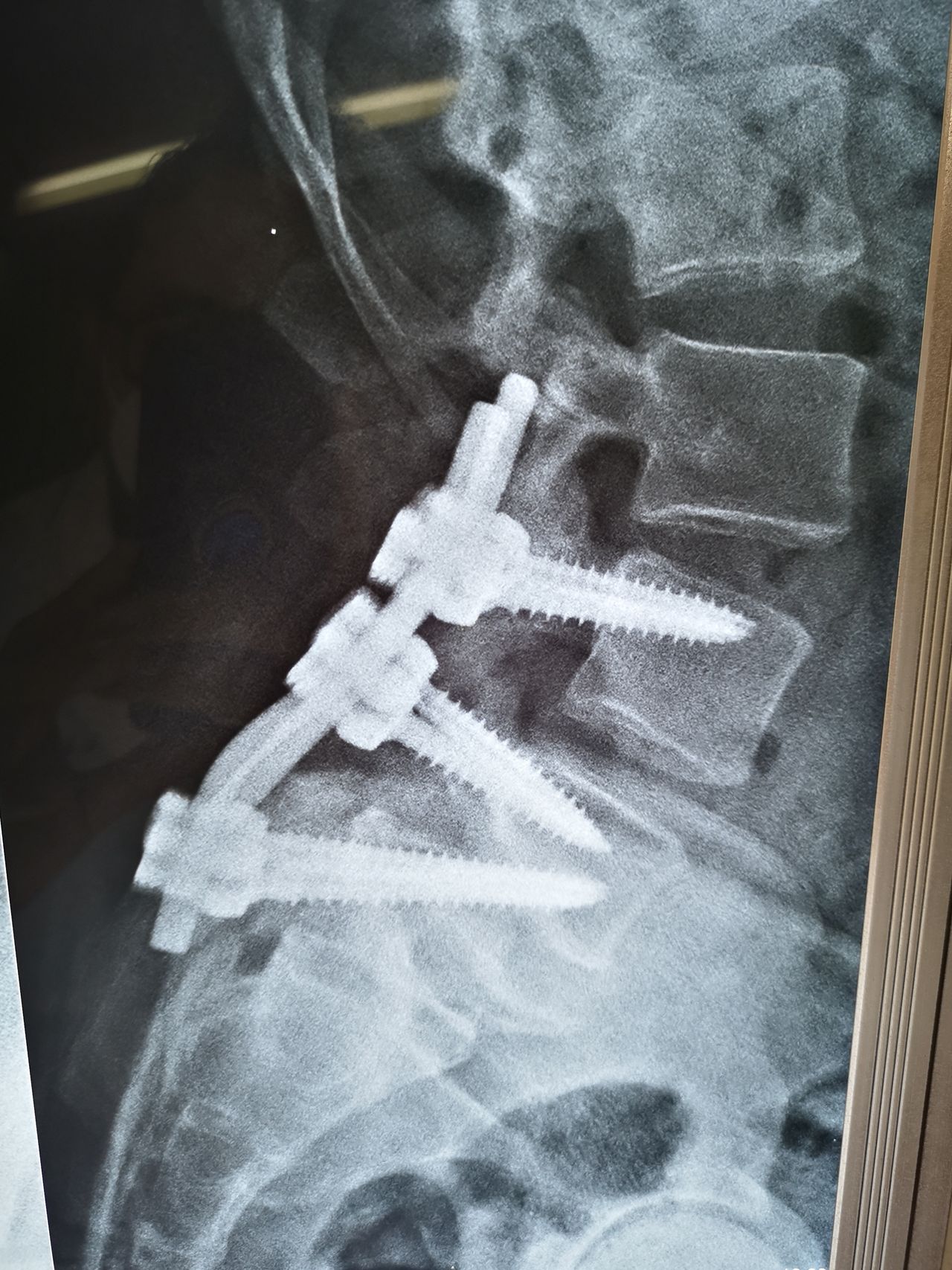 Manuel Ernesto Palma Palma-8