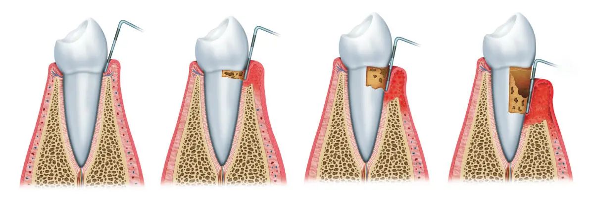 Diana Gabriela Aguilar Gutiérrez-2
