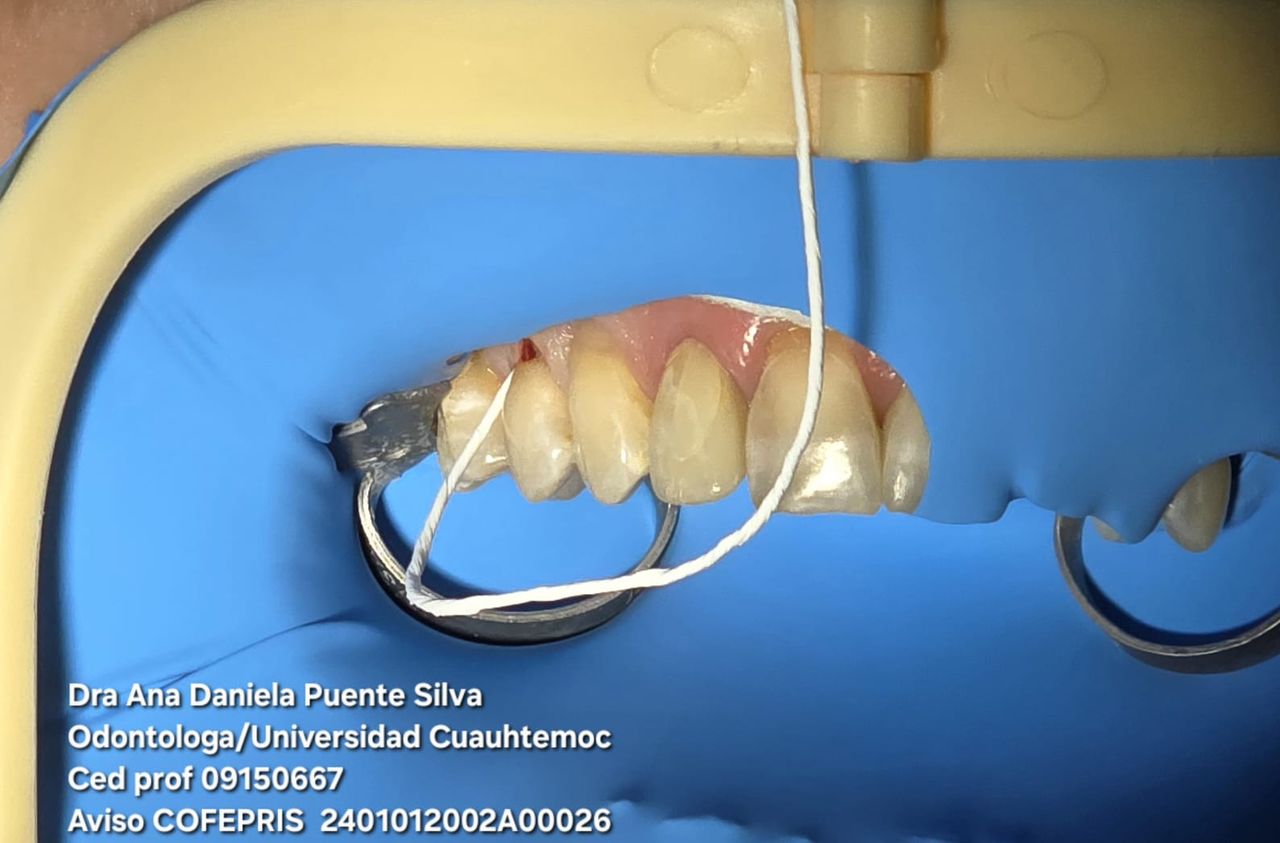 Ana Daniela Puente Silva-22