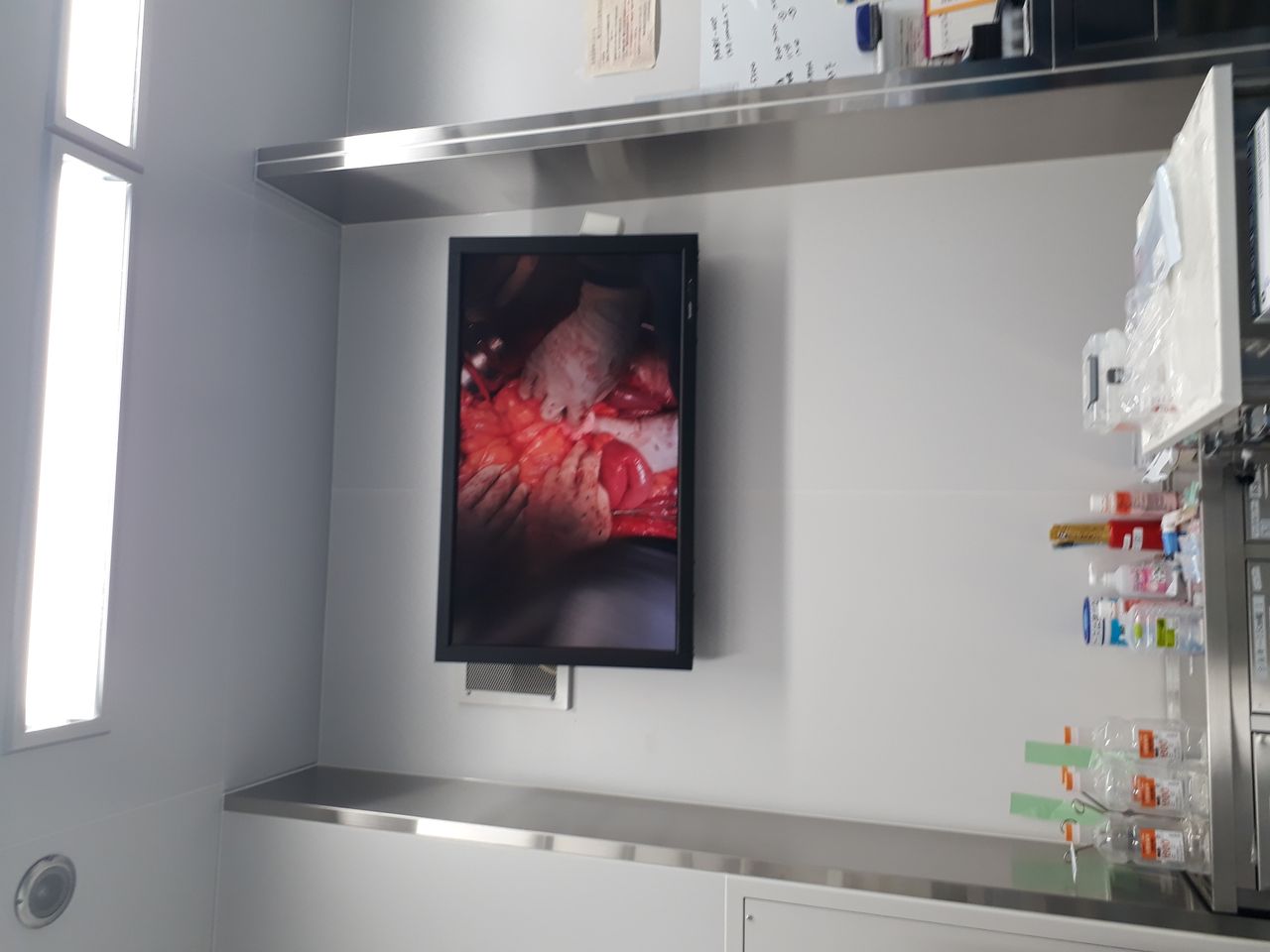 Felix Guillermo Estrada Alonso-8