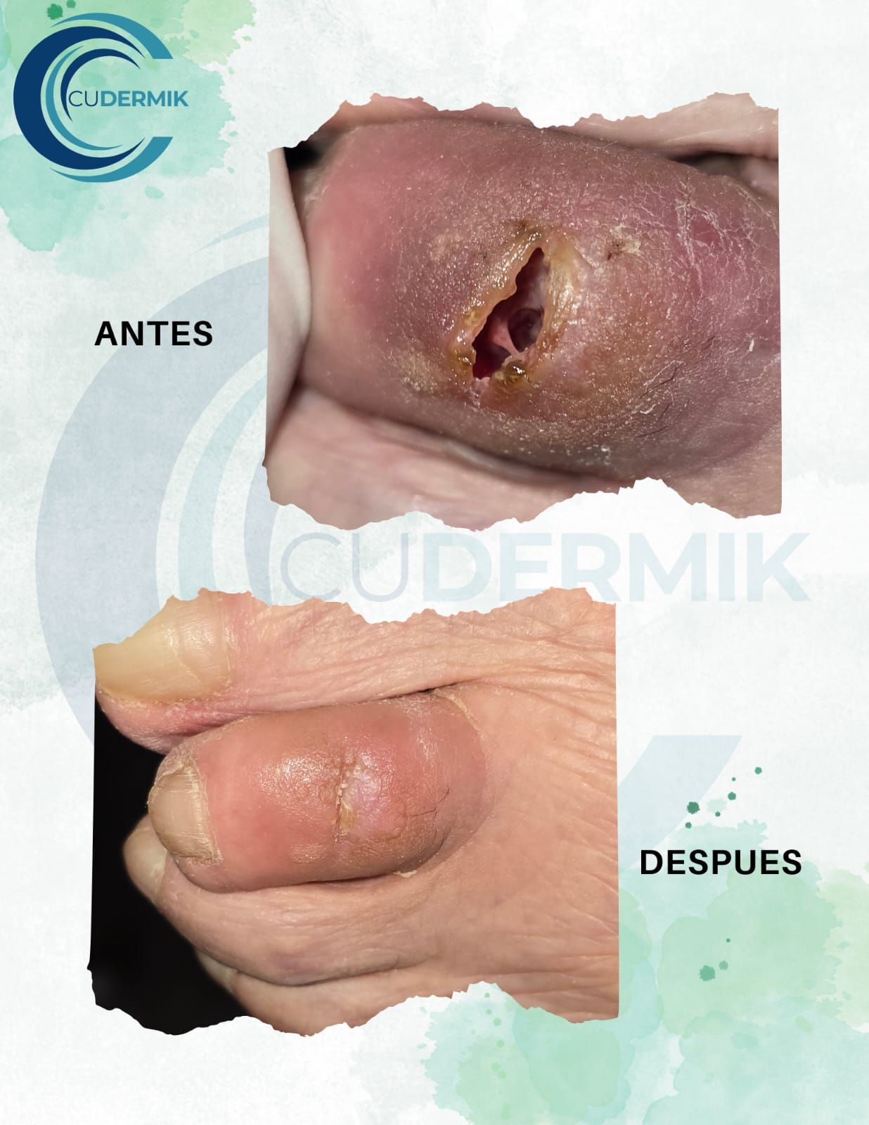 Miguel Rodriguez Hernandez-5