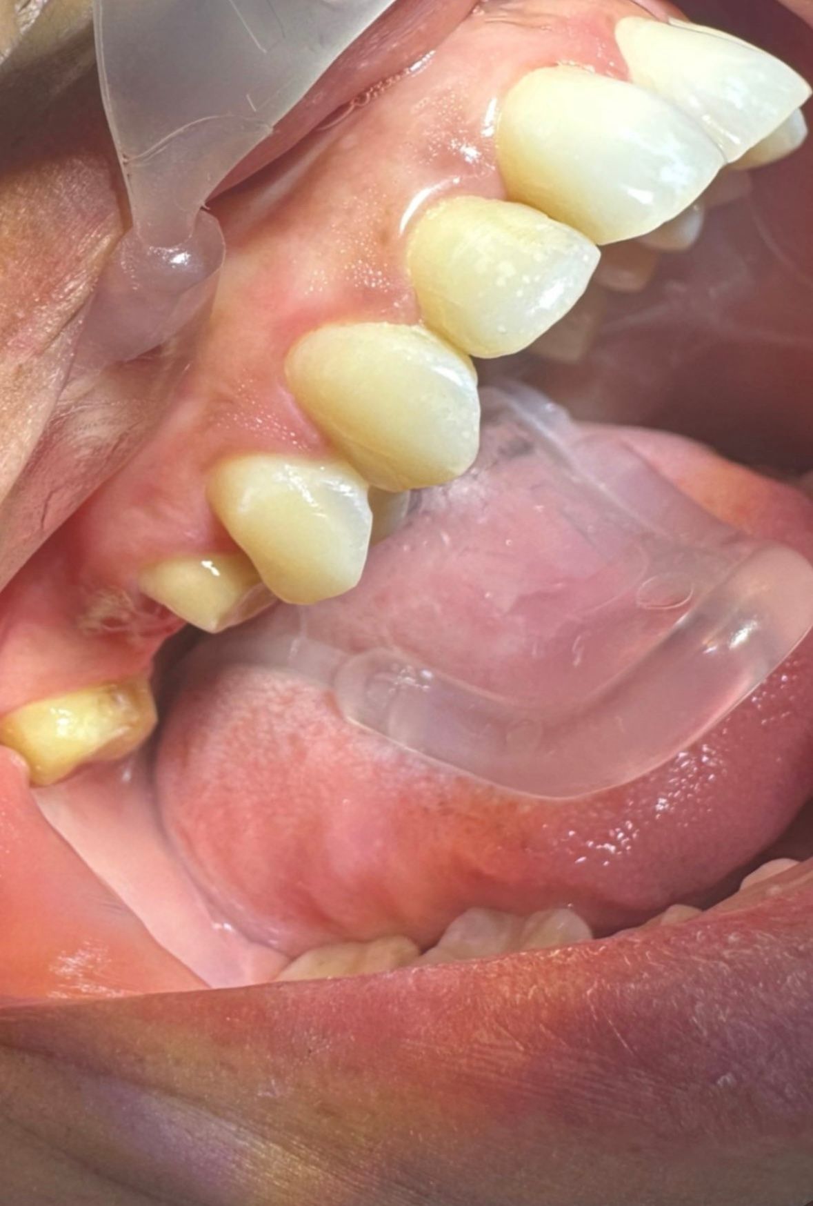 Fernanda Tovar Navarro-47