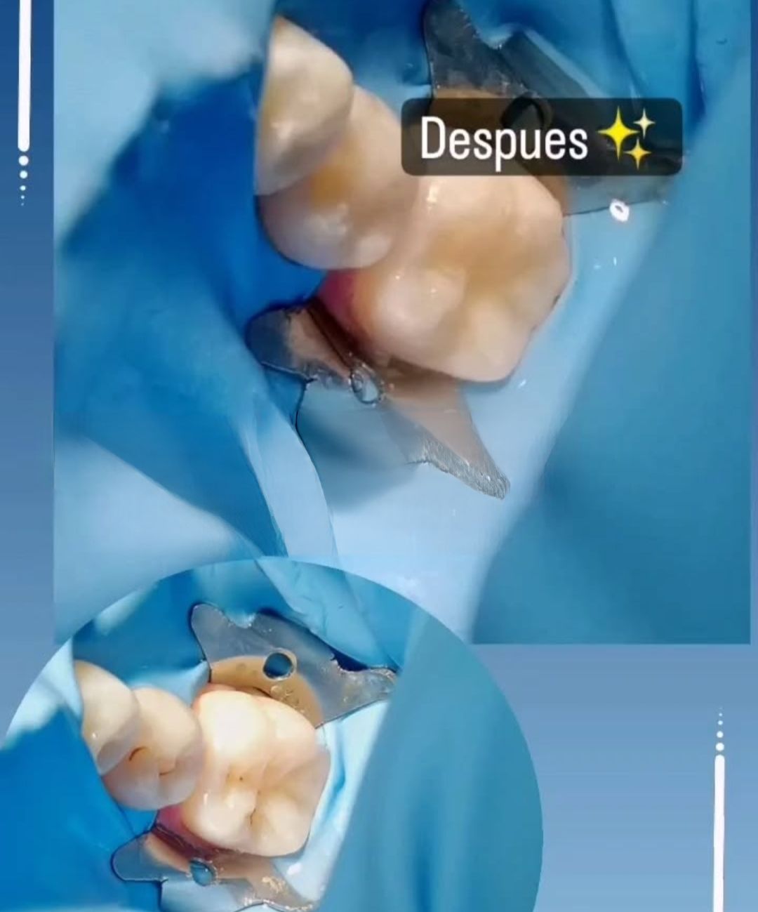 Margarita Estefania Parra Covarrubias-7