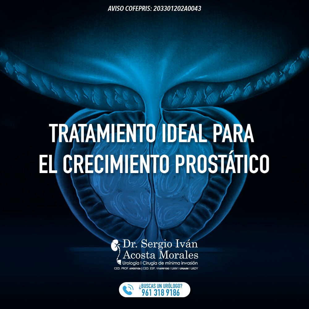 Sergio Iván Acosta Morales-4