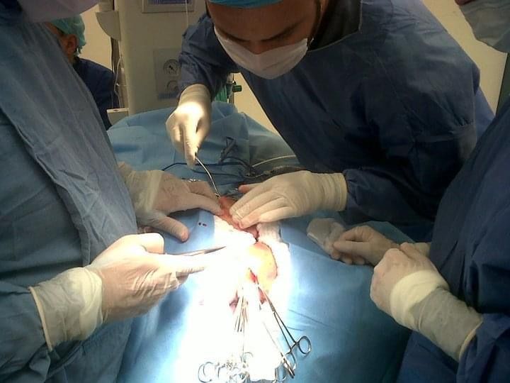 Federico Quintana De La Rosa-34