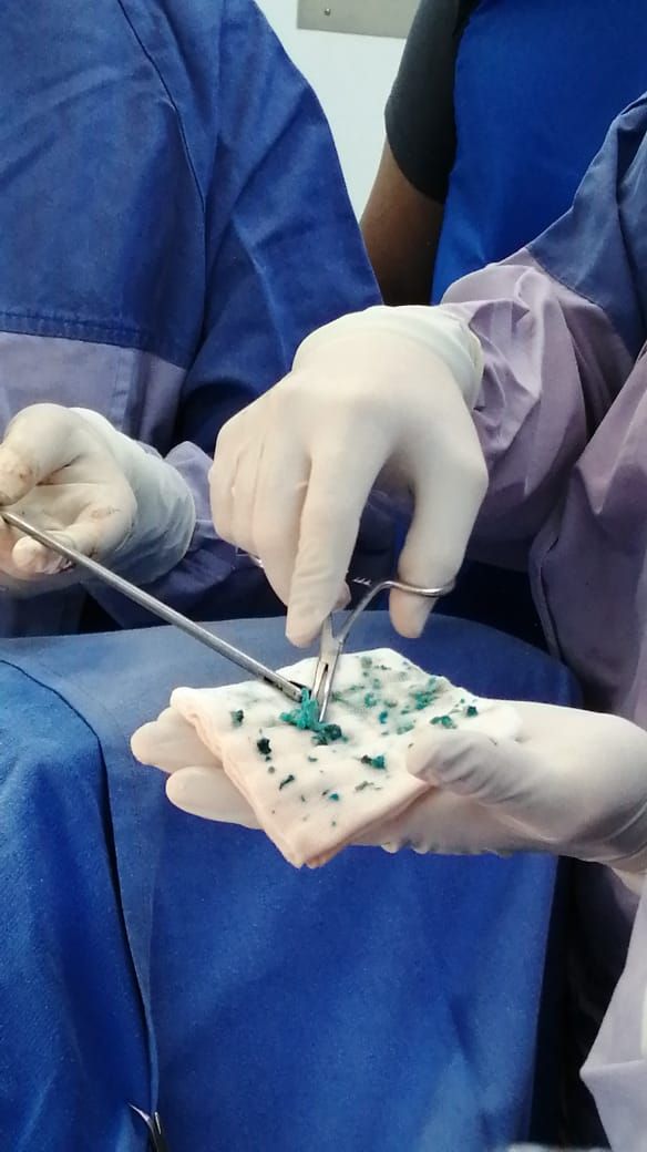 Erik Orlando Guzmán Ornelas-7