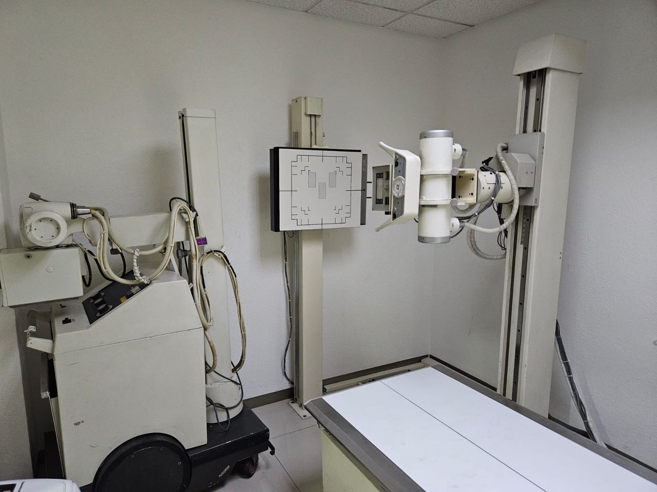 Alejandro Treviño Bernal-3