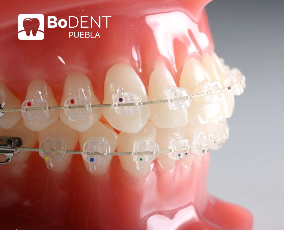 Mónica Bonilla Romero-5