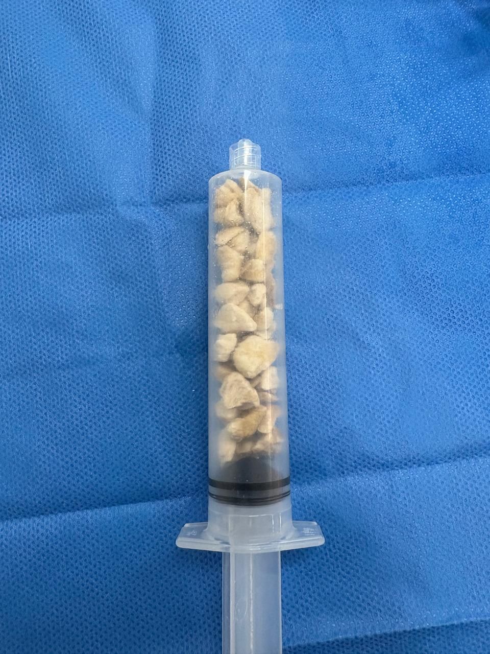 Francisco Emmanuel Navarrete Hernández-25