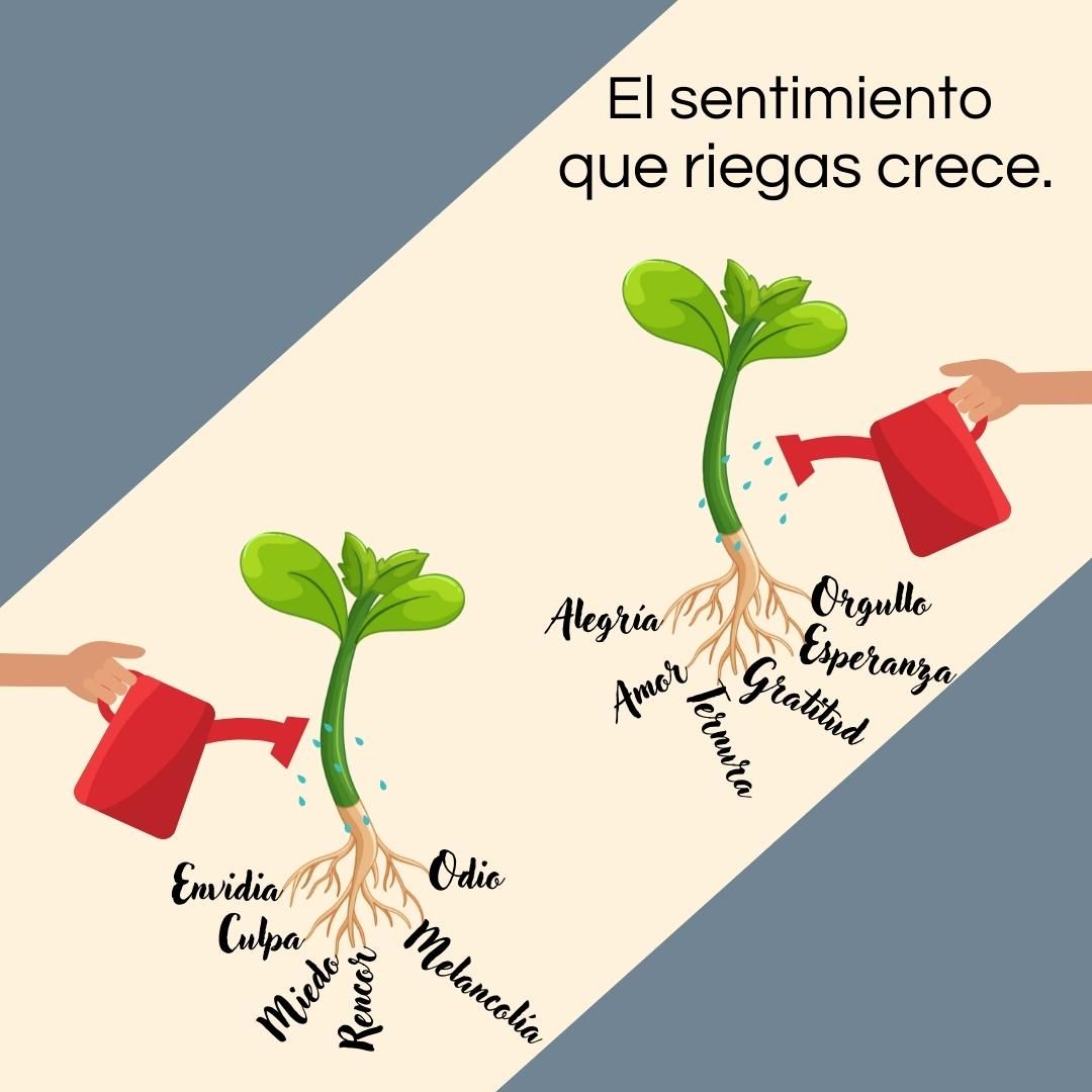 Irma Gutiérrez Escalante-5