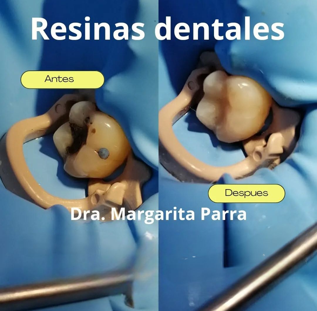 Margarita Estefania Parra Covarrubias-2