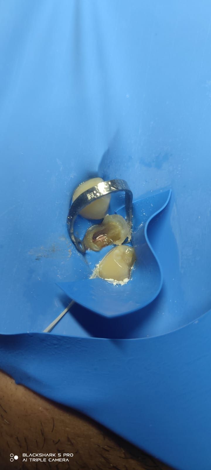 Jonathan Manuel Morán Castell-39