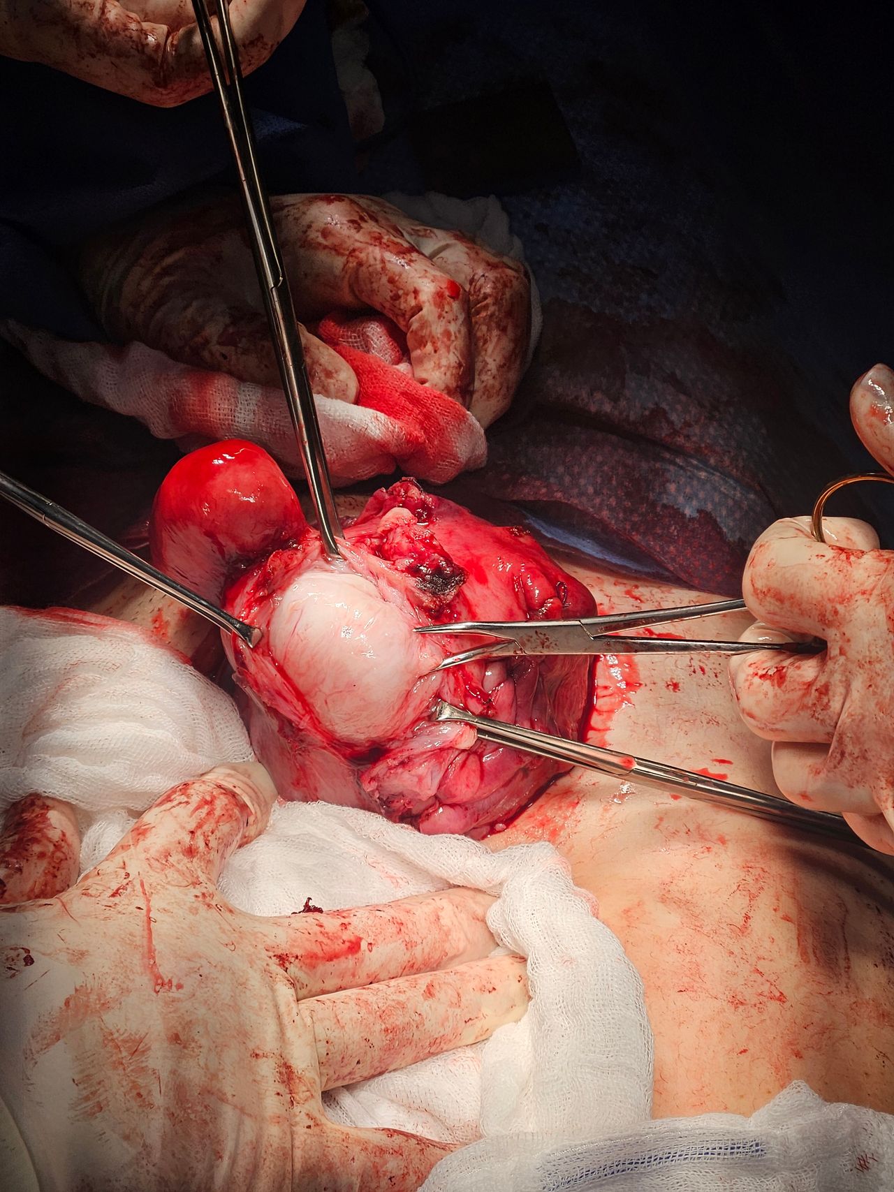 Jorge Alberto Rodriguez Pezino-70