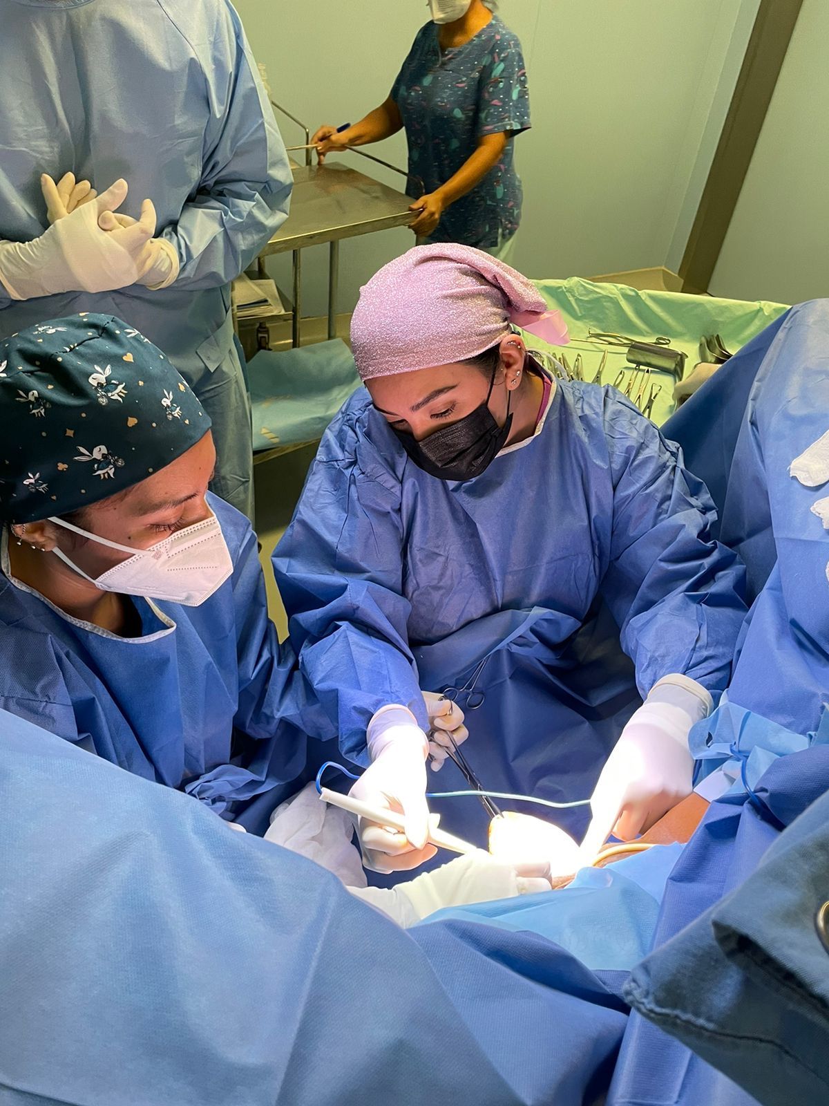 Sarai Galindo Delfin-4