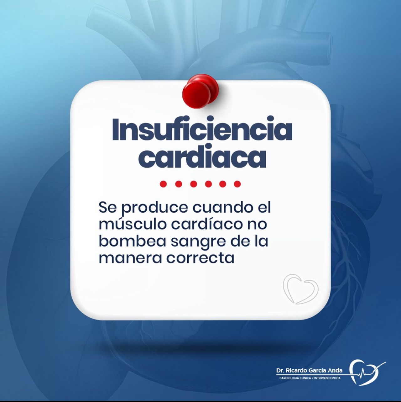 Ricardo Garcia Anda-8