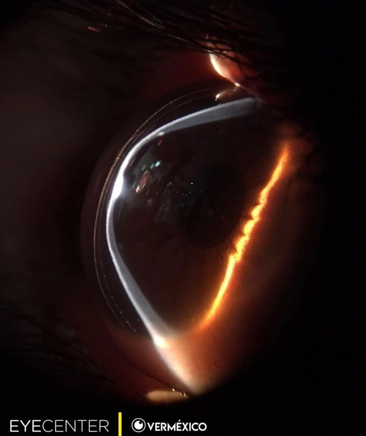 Omar Flores Cárdenas-9