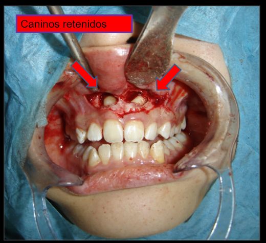 Diana Araceli Dávila Hernández-21