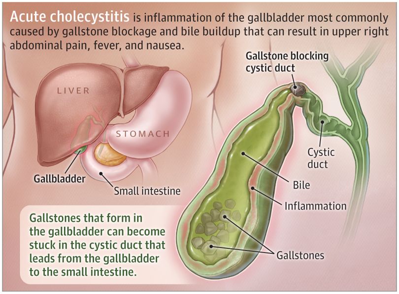 Marcos Jafif Cojab-4
