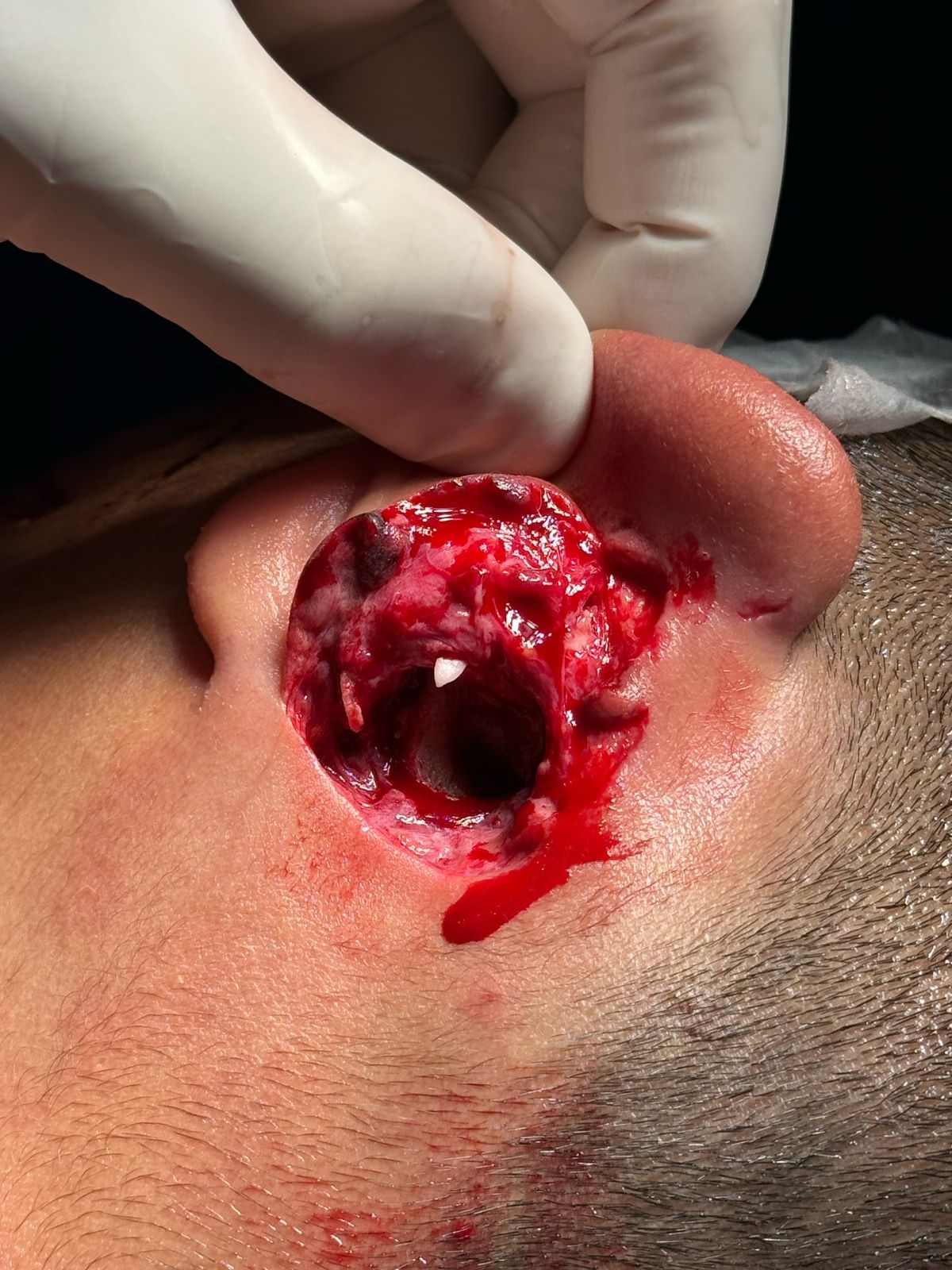 Octavio Antonio Santana Barrios-3