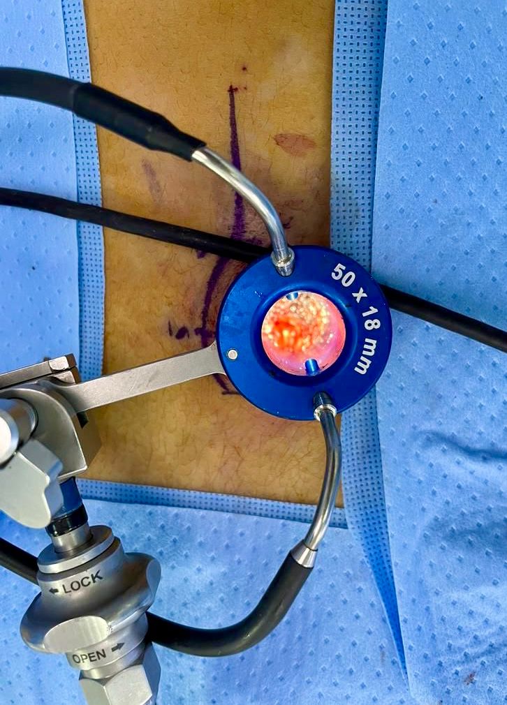 Celia Teresa De Jesús Álvarez Gamiño-37