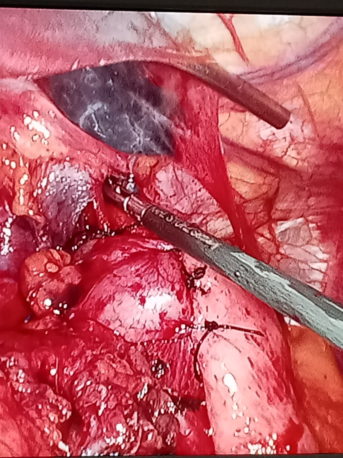 Horacio Paniagua Hernández-17