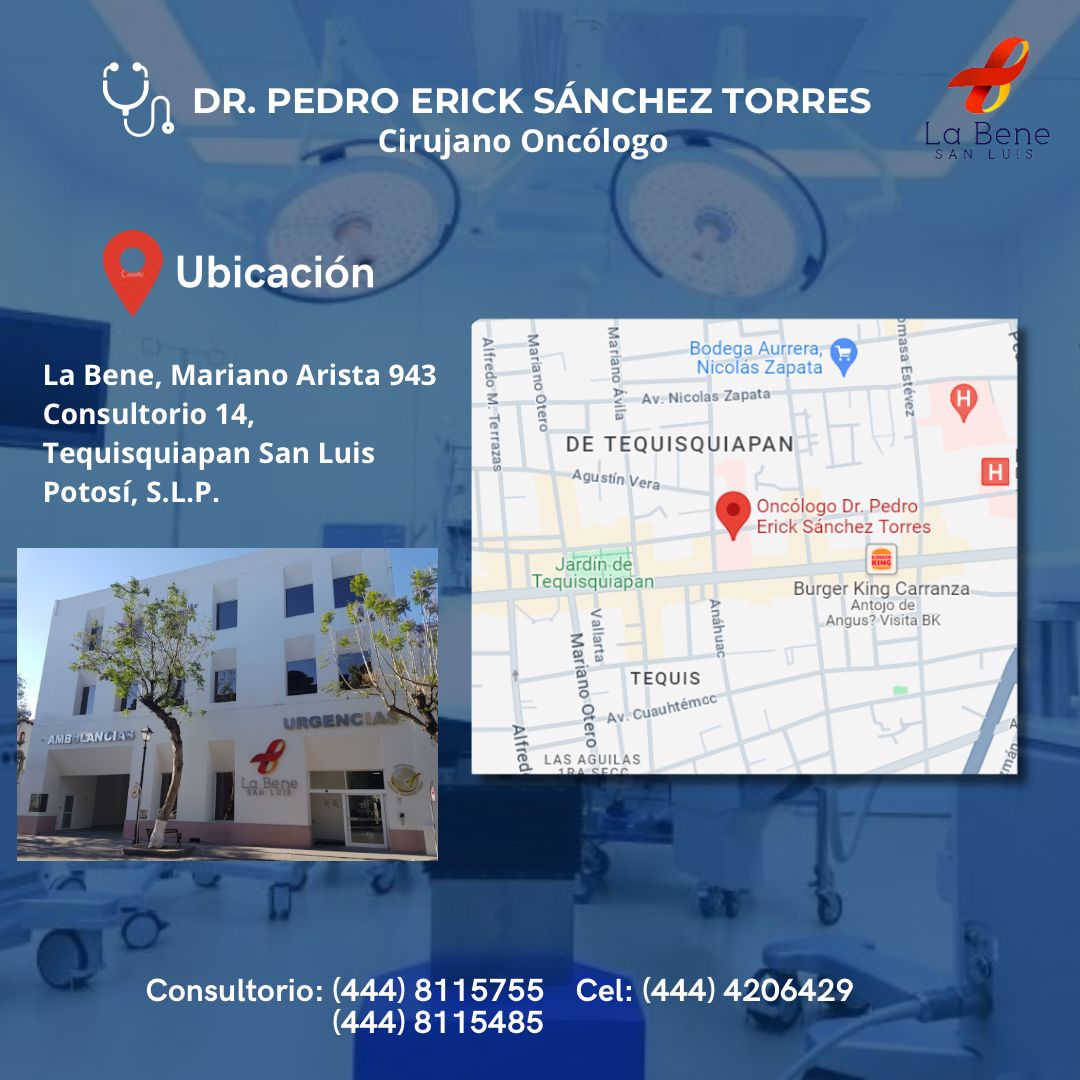 Pedro Erick Sanchez Torres-4