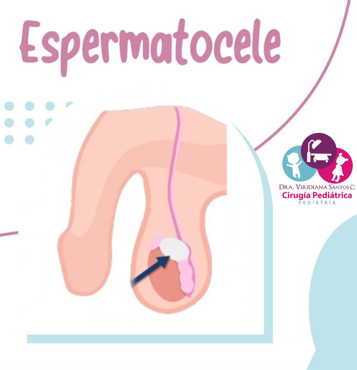 Viridiana Santos C.-3