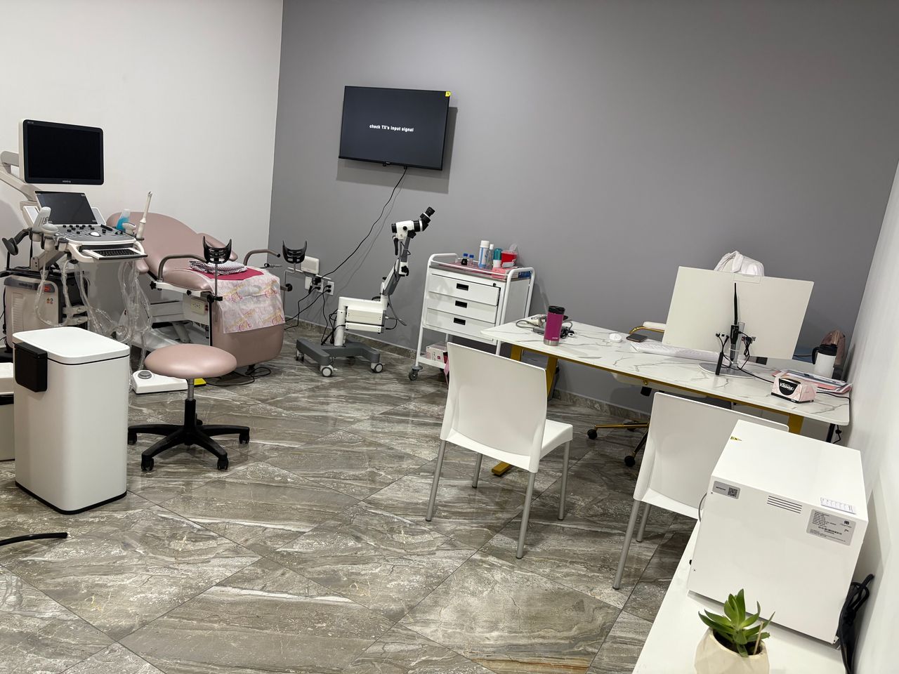 Aline Bermúdez Nájera-0