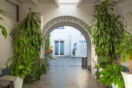 Patricia Yañez Sanchez-4