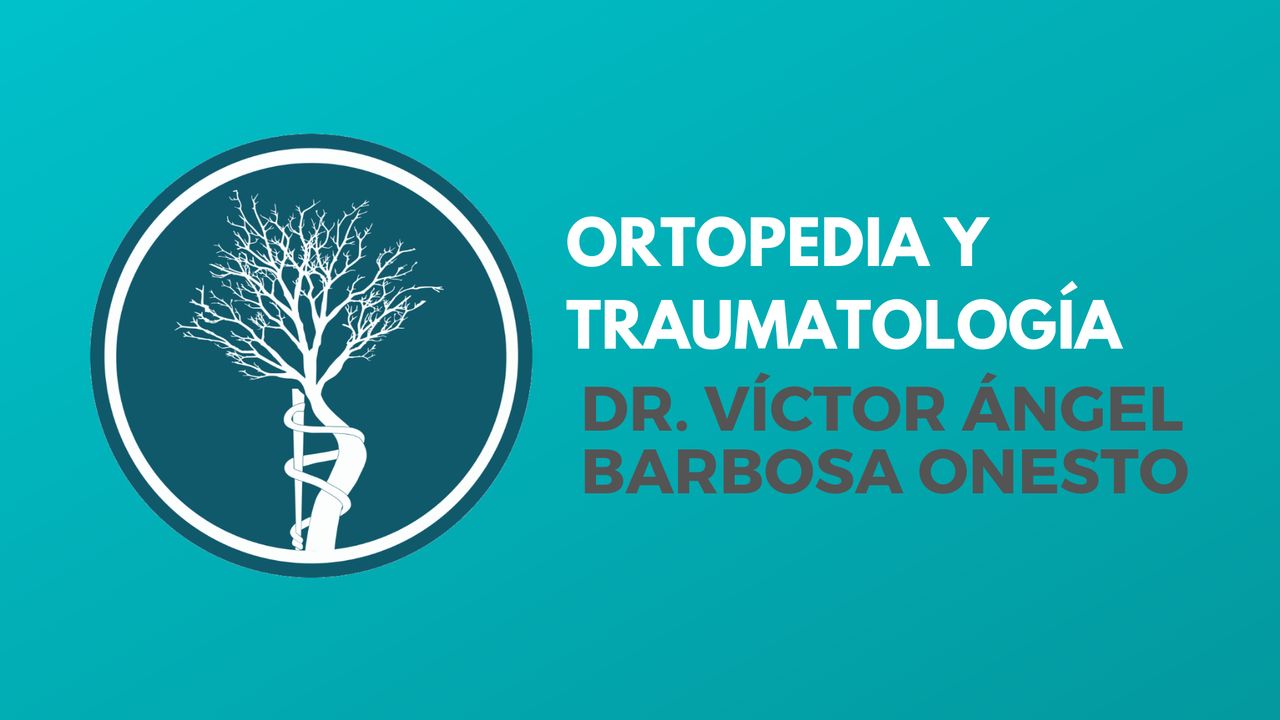 Víctor Ángel Barbosa Onesto-13