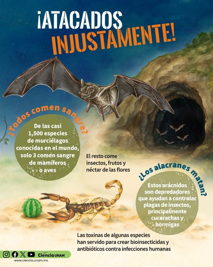 Raymundo Alejandro Cuevas Escalante-255